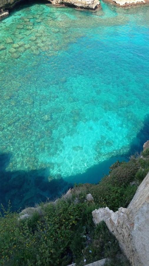 B&B Volare Polignano a Mare Buitenkant foto